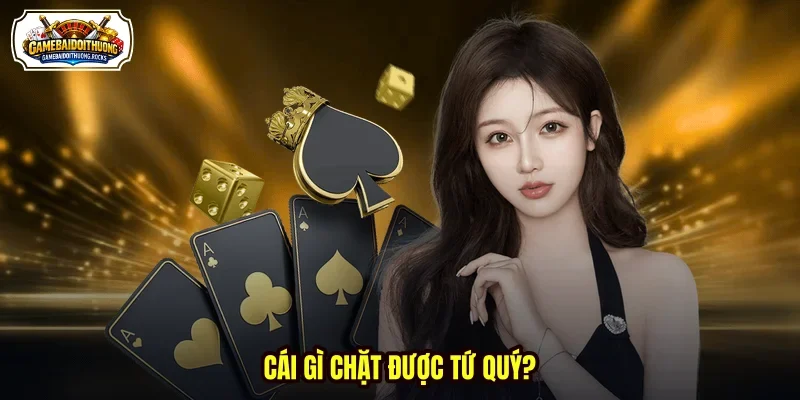 Cái gì chặt được tứ quý?