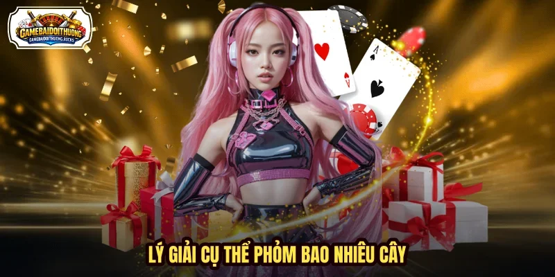 Lý giải cụ thể phỏm bao nhiêu cây